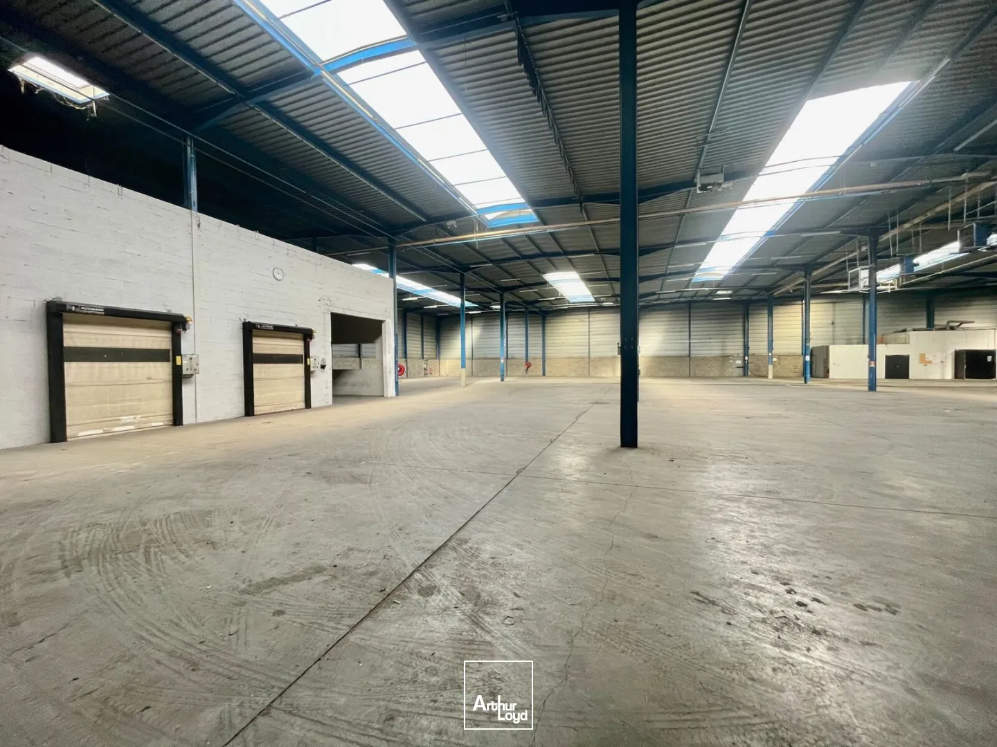 Locaux d'activité & Entrepôts - Location - SAINT ETIENNE DU ROUVRAY - 76800 - 1443-4724 - 7742784