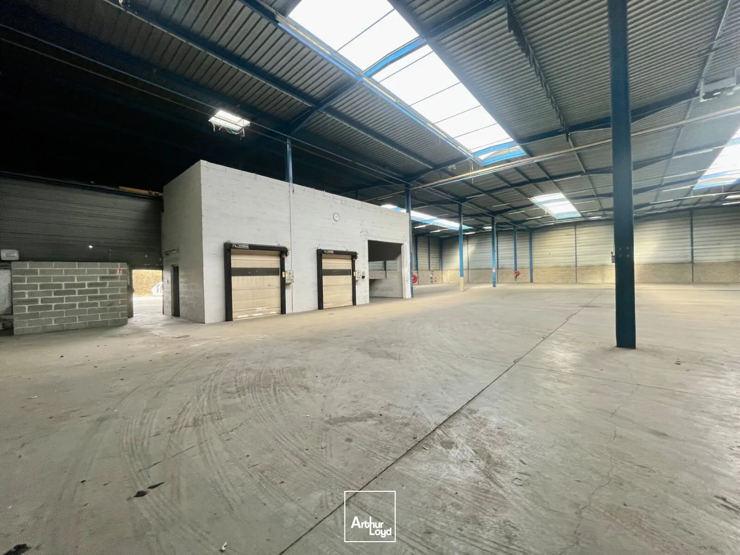 Locaux d'activité & Entrepôts - Location - SAINT ETIENNE DU ROUVRAY - 76800 - 1443-4724 - 7742794