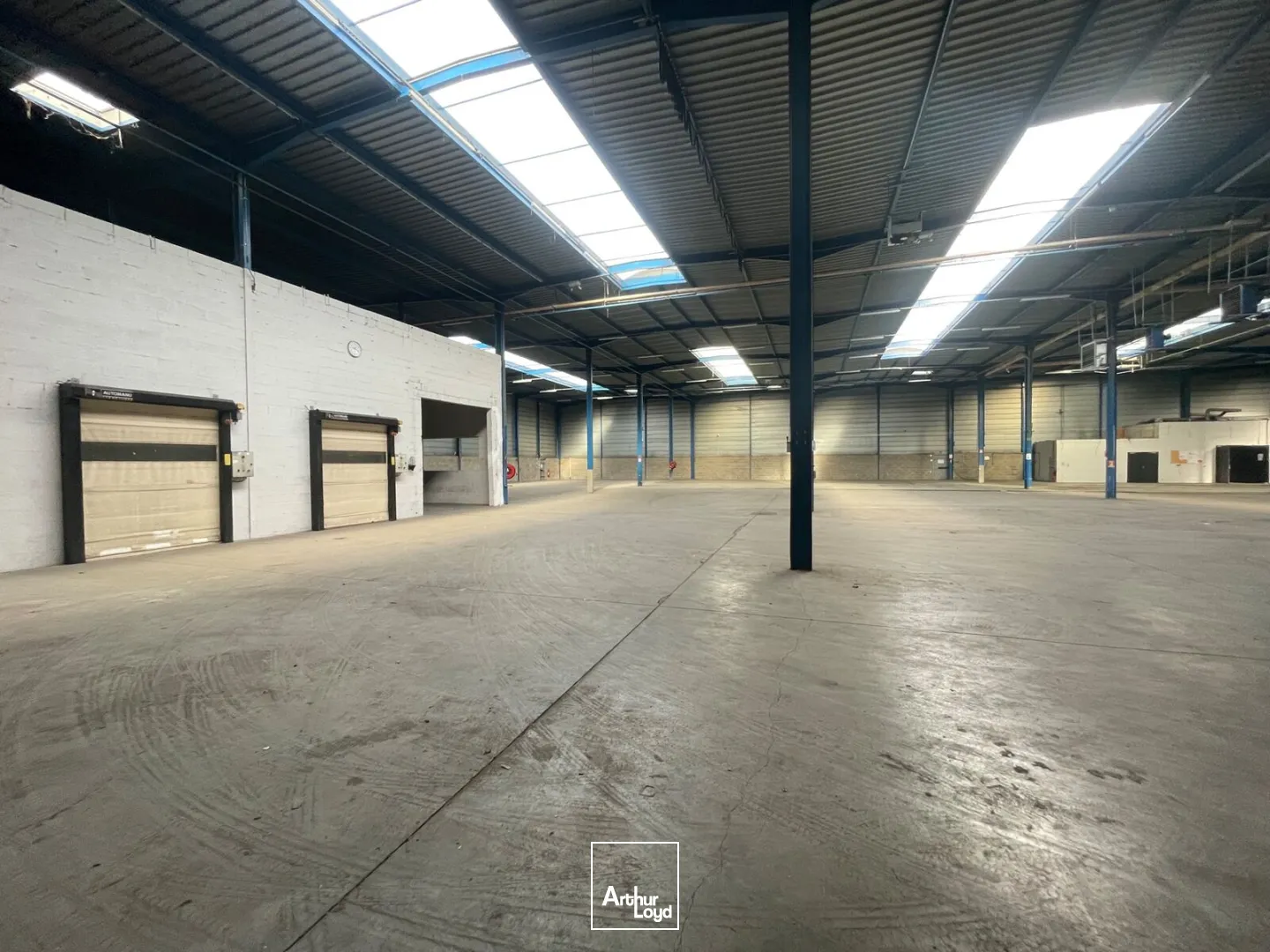 Locaux d'activité & Entrepôts - Location - SAINT ETIENNE DU ROUVRAY - 76800 - 725-3266 - 7742818