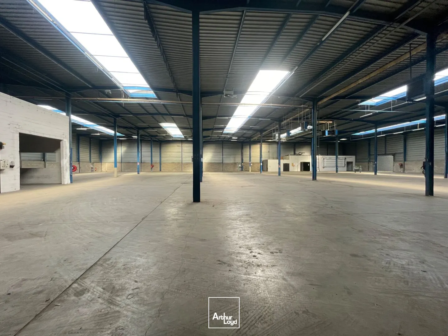 Locaux d'activité & Entrepôts - Location - SAINT ETIENNE DU ROUVRAY - 76800 - 725-3266 - 7742819