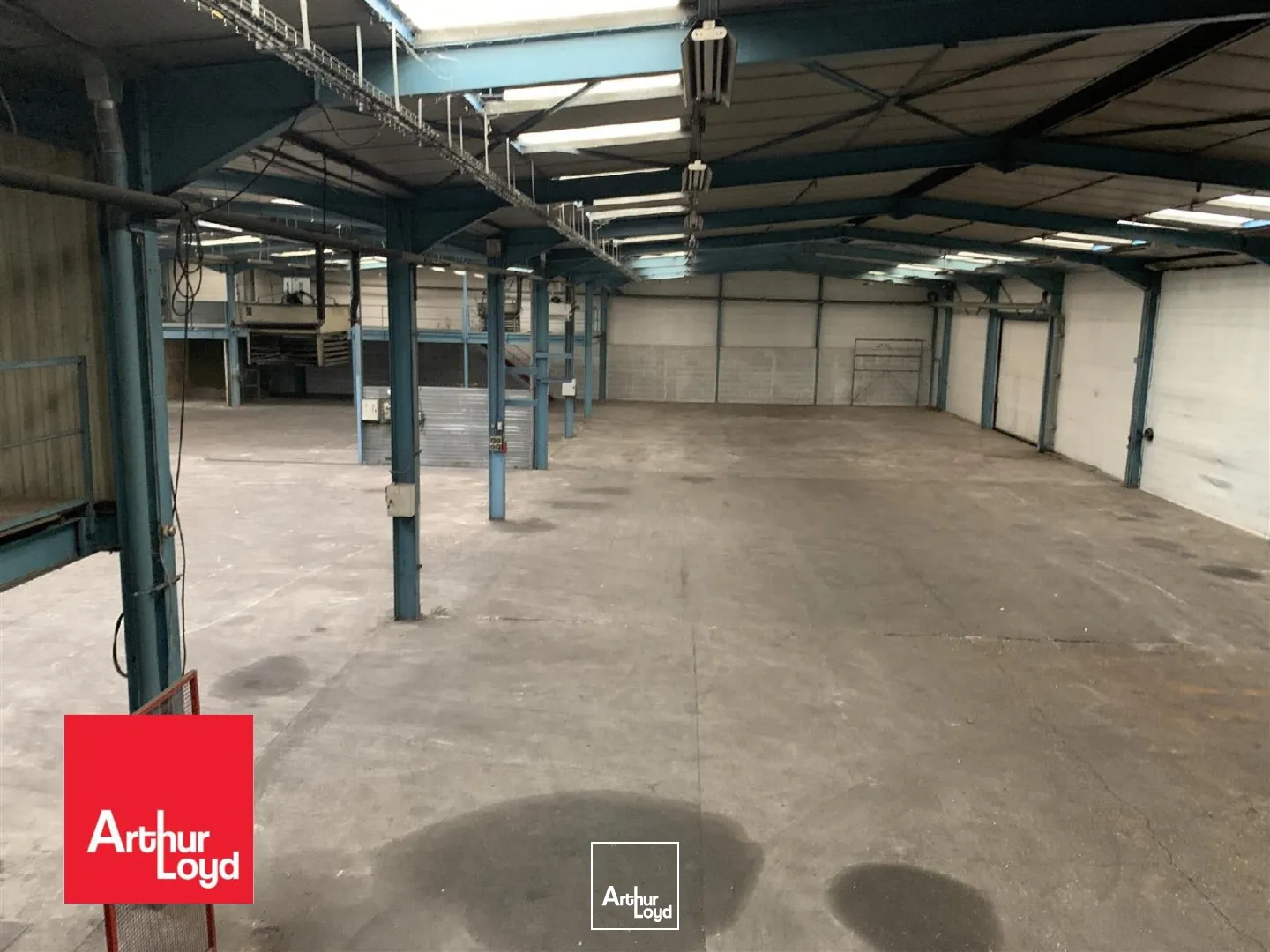 Locaux d'activité & Entrepôts - Vente - LUCE - 28110 - 1700-1700 - 7743286