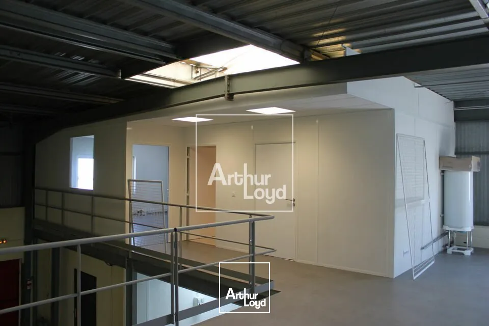 Locaux d'activité & Entrepôts - Vente - MORSANG SUR ORGE - 91390 - 266-266 - 7743436