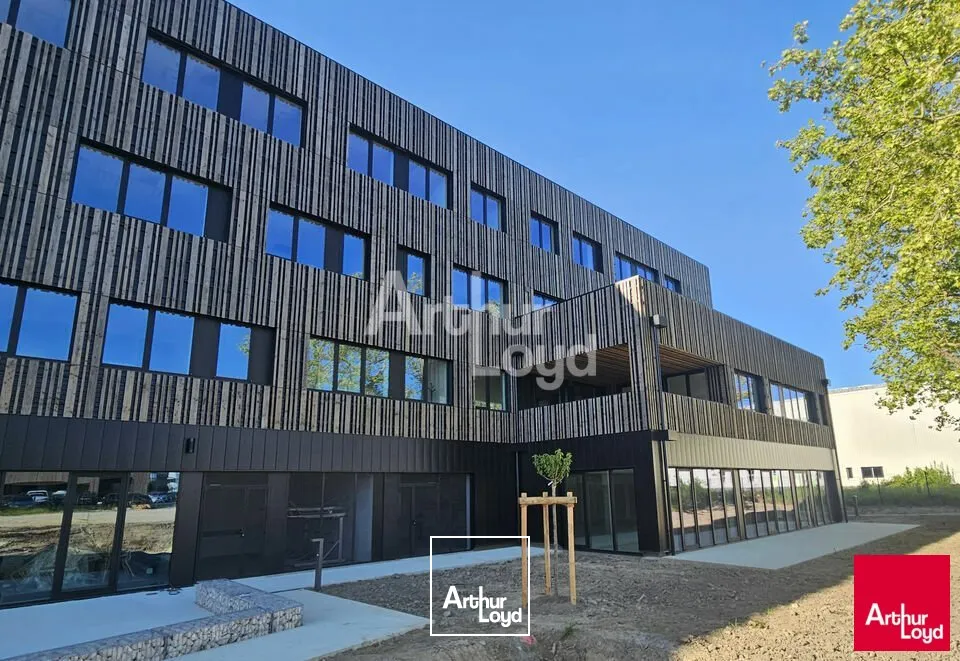 Bureaux - Vente - ANGERS - 49000 - 317-317 - 7743499