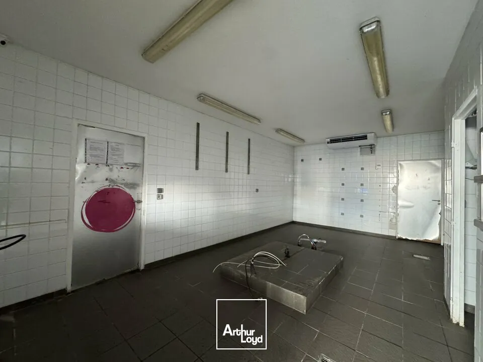 Locaux commerciaux - Location - JOUE LES TOURS - 37300 - 170-170 - 7743546