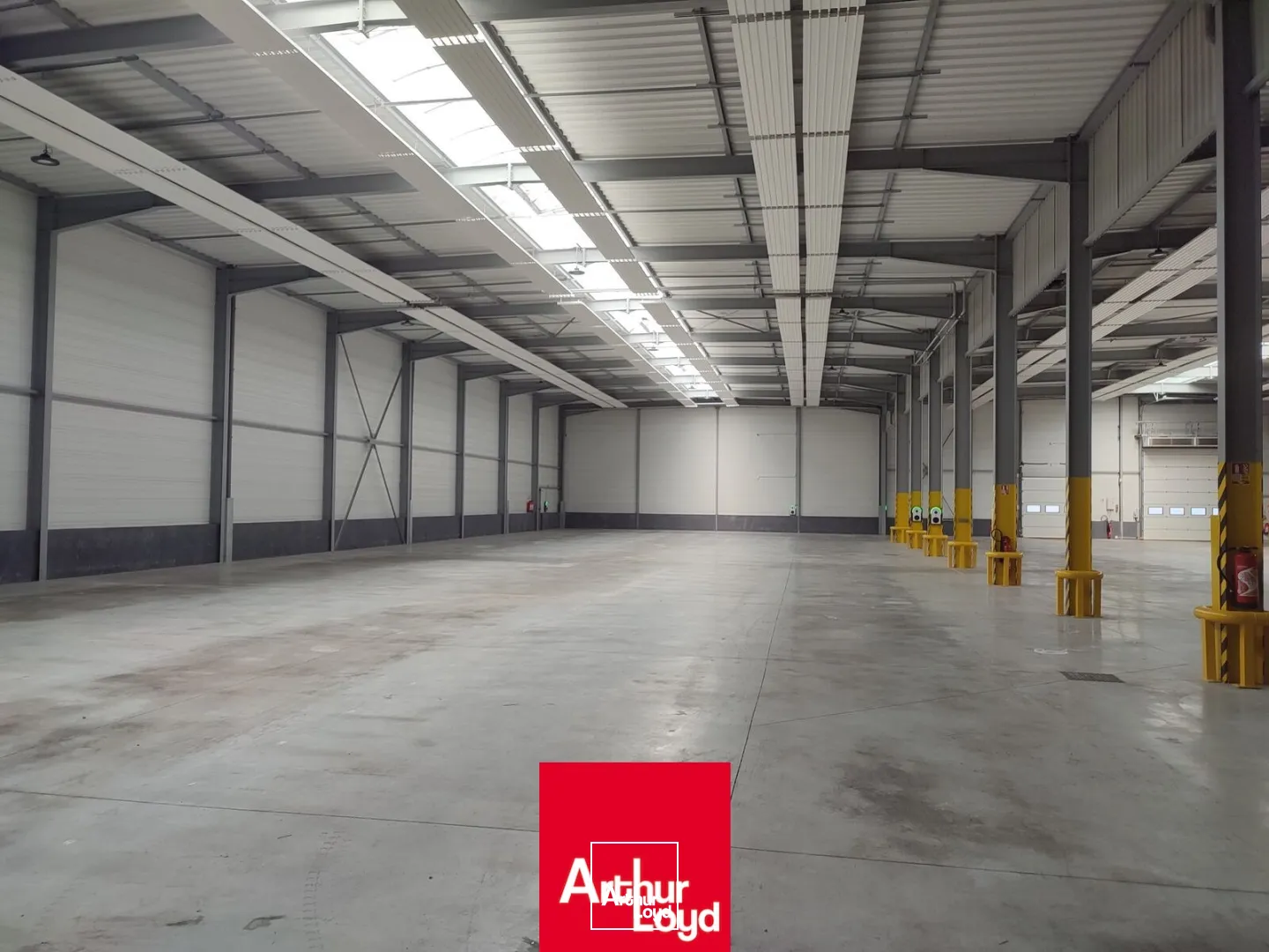 Locaux d'activité & Entrepôts - Location - POMMIERS - 69480 - 2917-2917 - 7743774