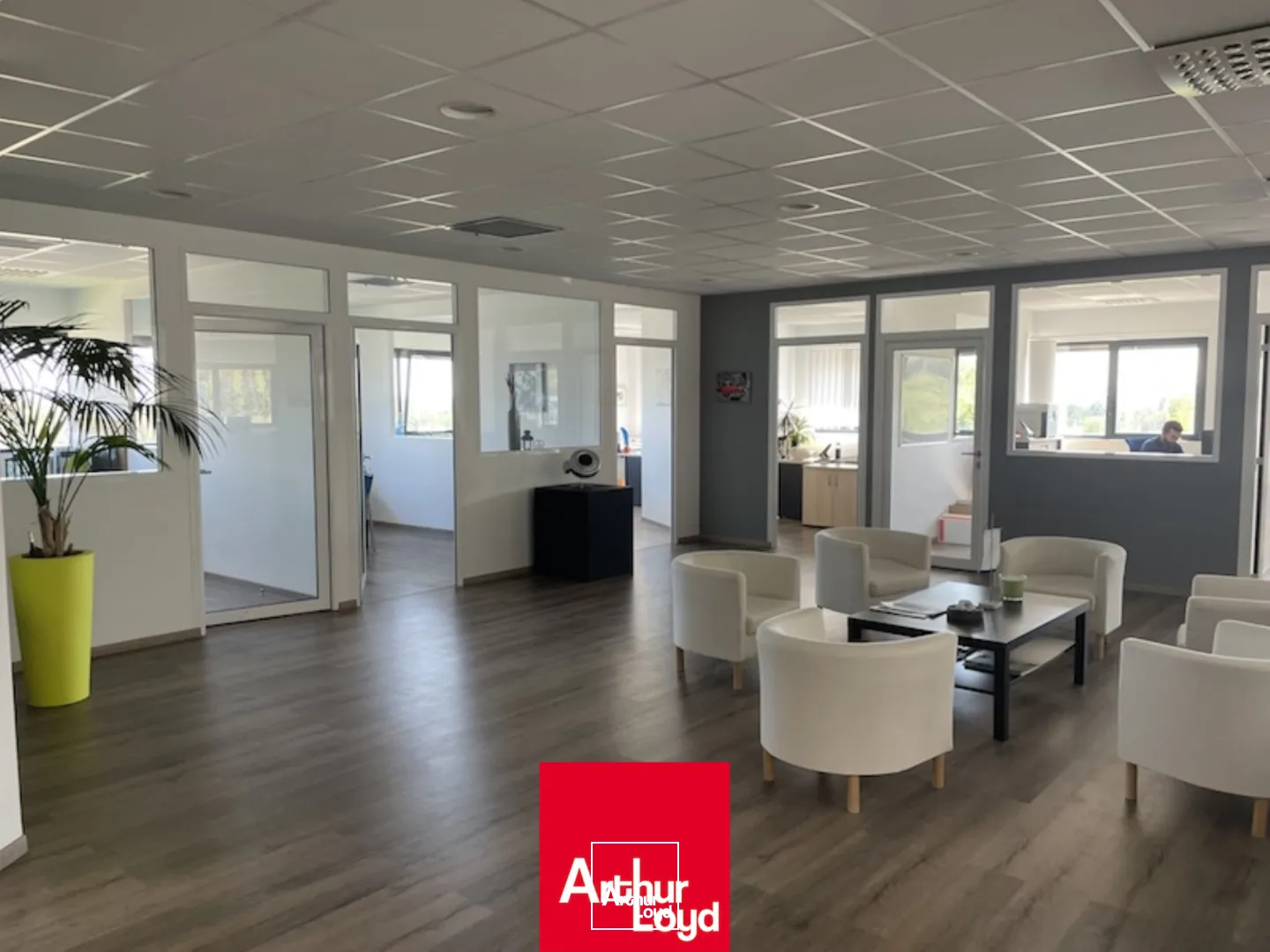 Locaux d'activité & Entrepôts - Location - POMMIERS - 69480 - 2917-2917 - 7743777