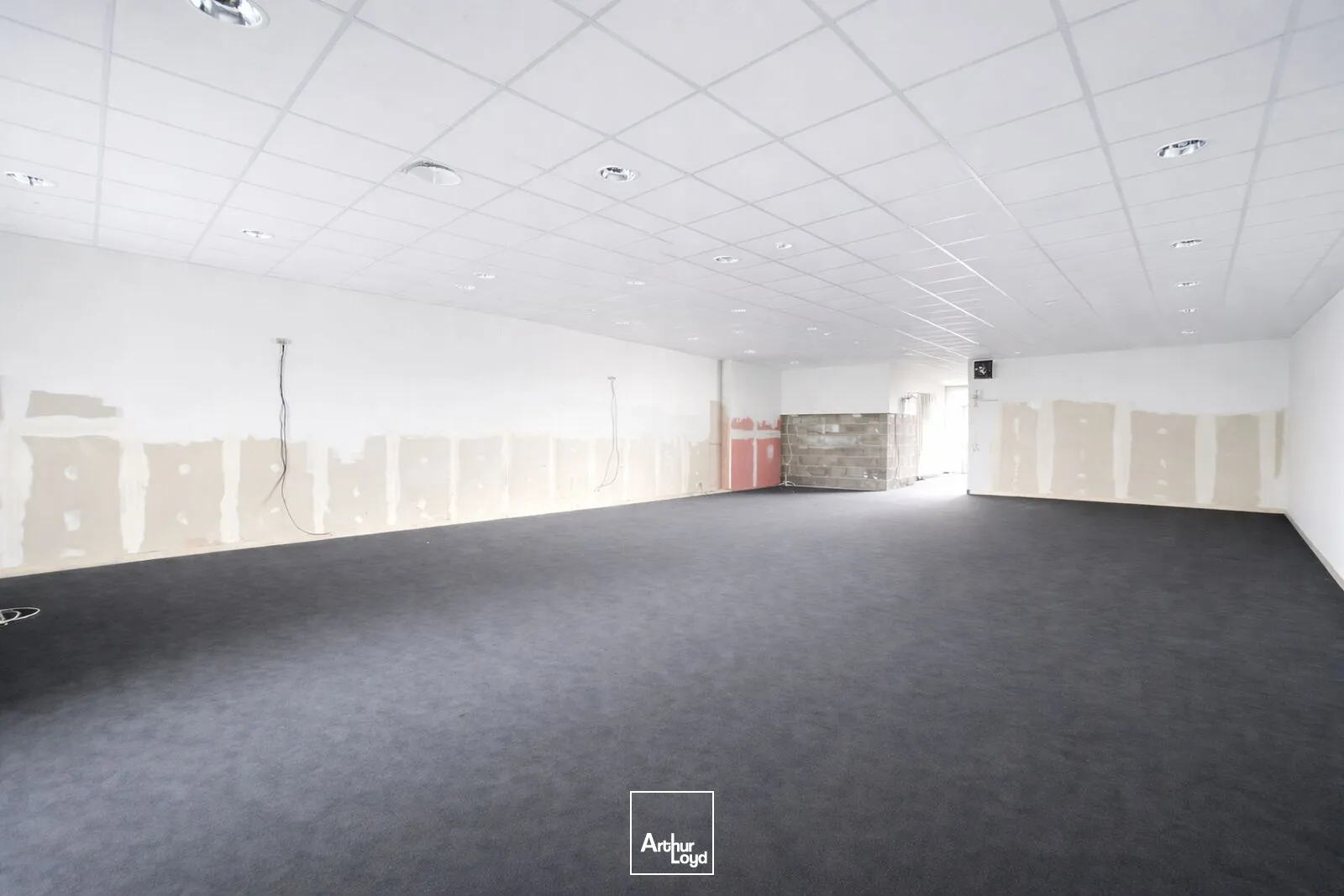 Locaux commerciaux - Location - FEURS - 42110 - 305-305 - 7743910