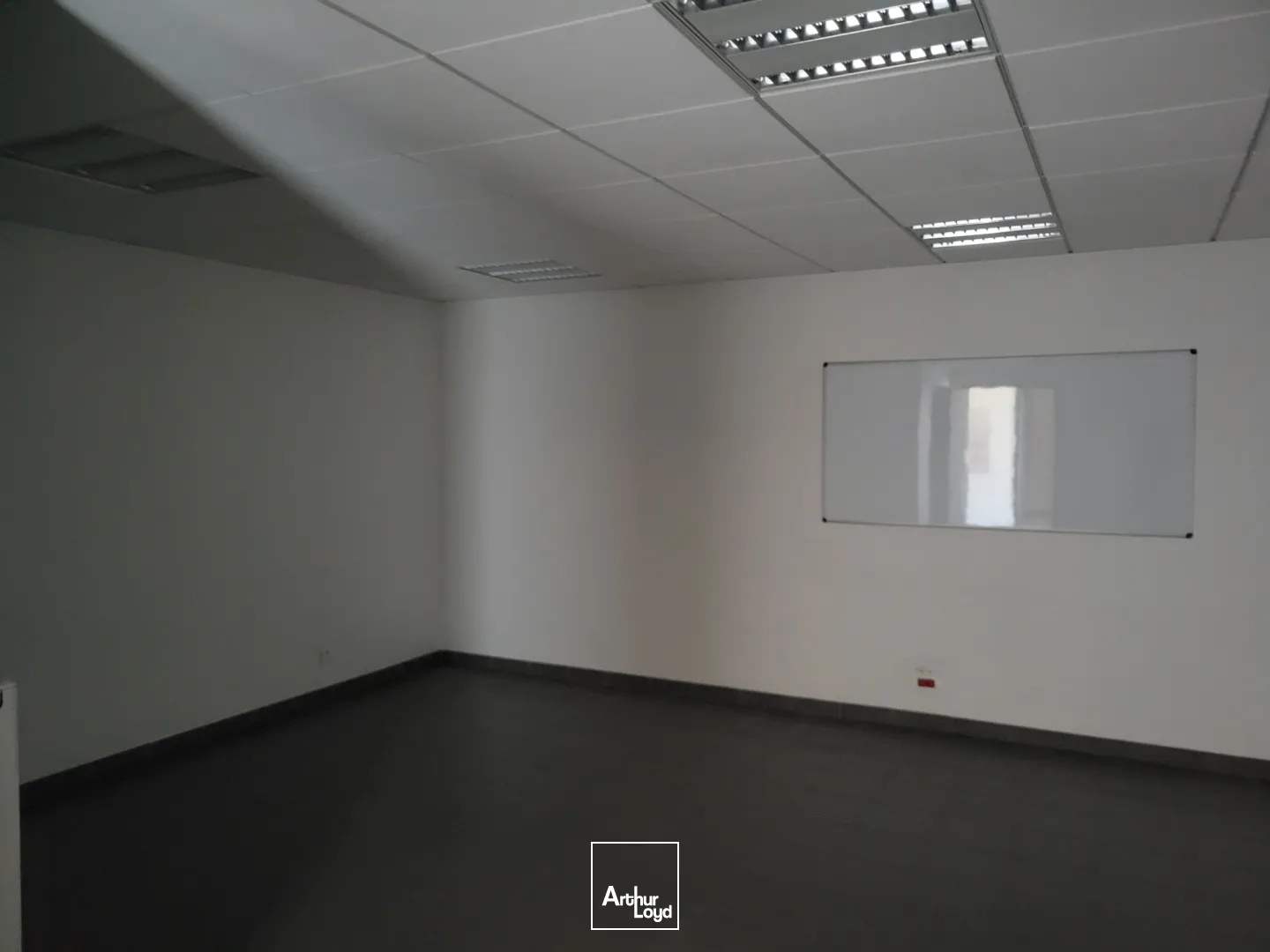 Locaux d'activité & Entrepôts - Location - Montbeliard - 25200 - 298-298 - 7744085