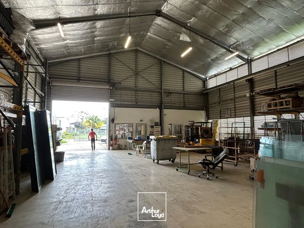 Locaux d'activité & Entrepôts - Vente - Macouria - 97355 - 450-450 - 7744265