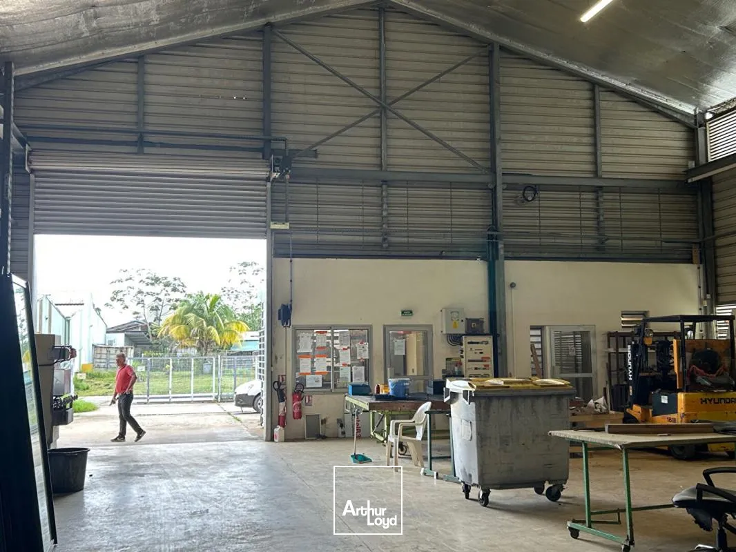 Locaux d'activité & Entrepôts - Vente - Macouria - 97355 - 450-450 - 7744266