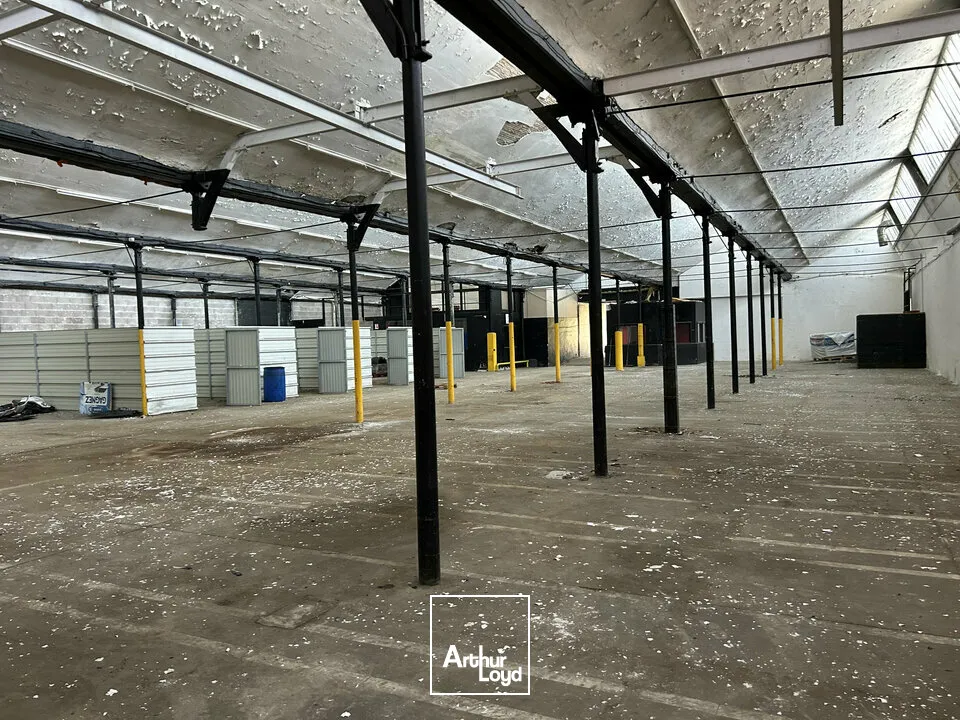 Locaux d'activité & Entrepôts - Vente - ISSENHEIM - 68500 - 1909-1909 - 7744328