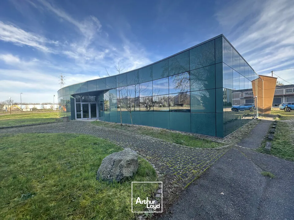 Bureaux - Location - STRASBOURG - 67000 - 500-500 - 7744331