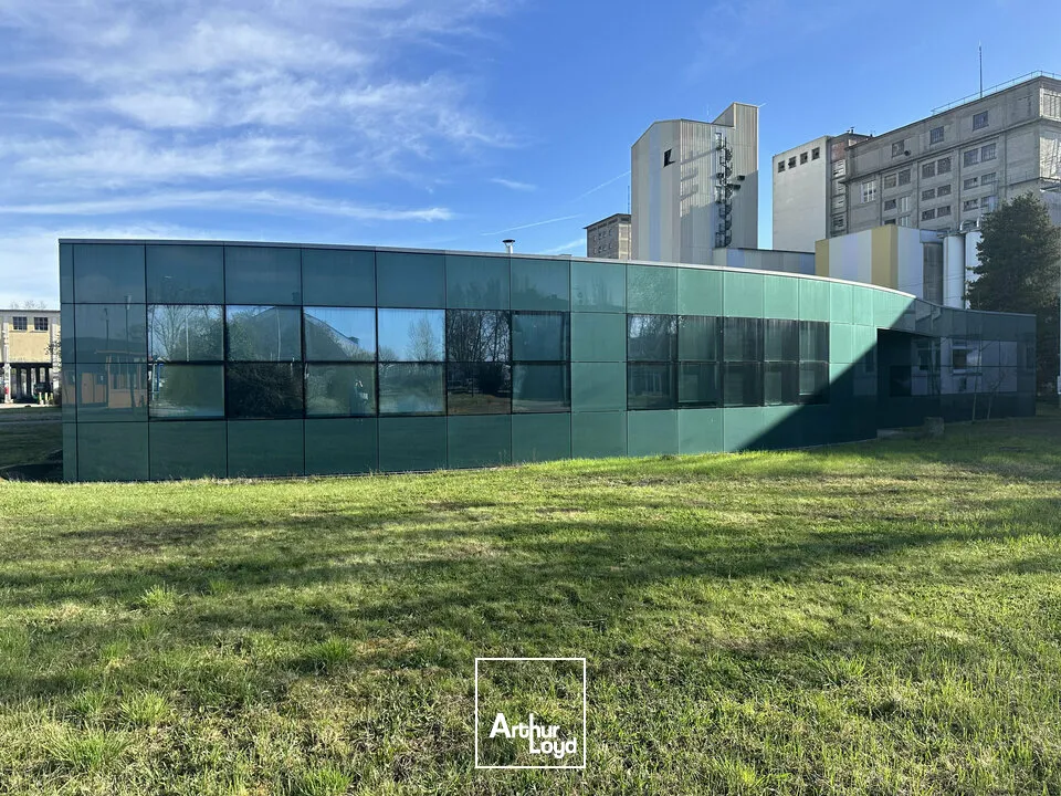 Bureaux - Location - STRASBOURG - 67000 - 500-500 - 7744333