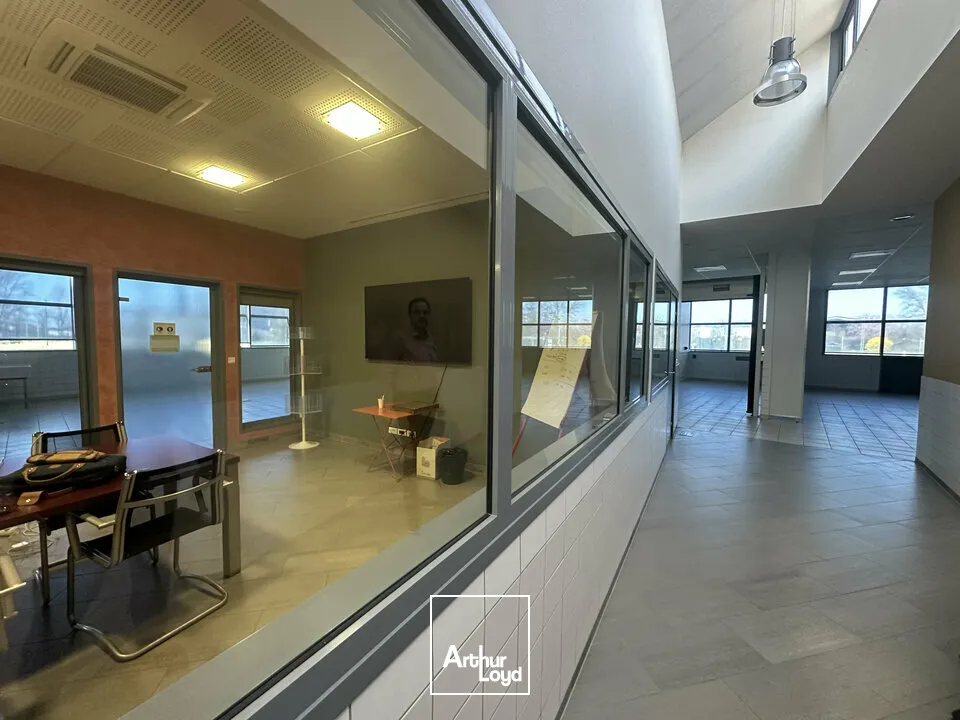 Bureaux - Location - STRASBOURG - 67000 - 500-500 - 7744334