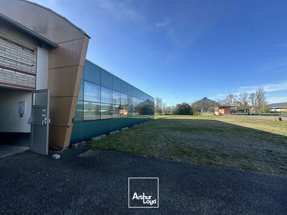 Bureaux - Location - STRASBOURG - 67000 - 500-500 - 7744338