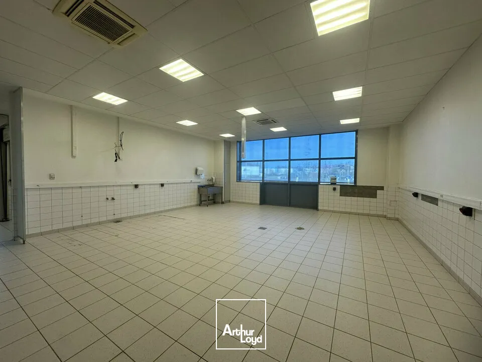 Bureaux - Location - STRASBOURG - 67000 - 500-500 - 7744336