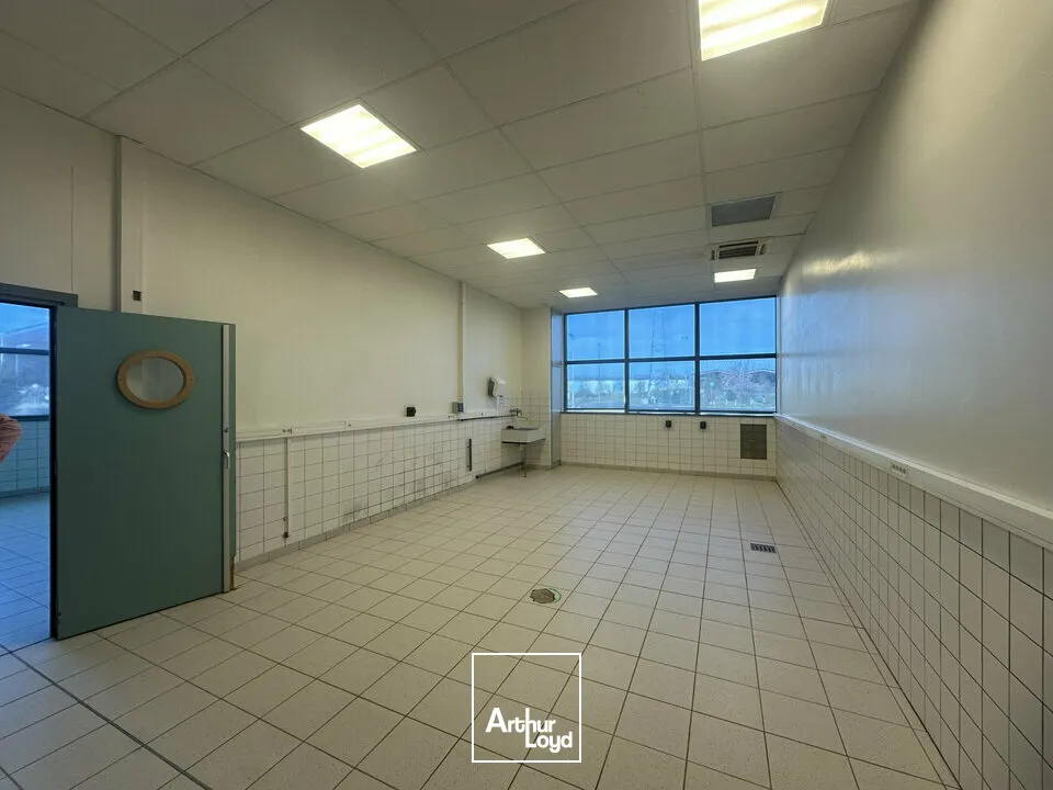 Bureaux - Location - STRASBOURG - 67000 - 500-500 - 7744332