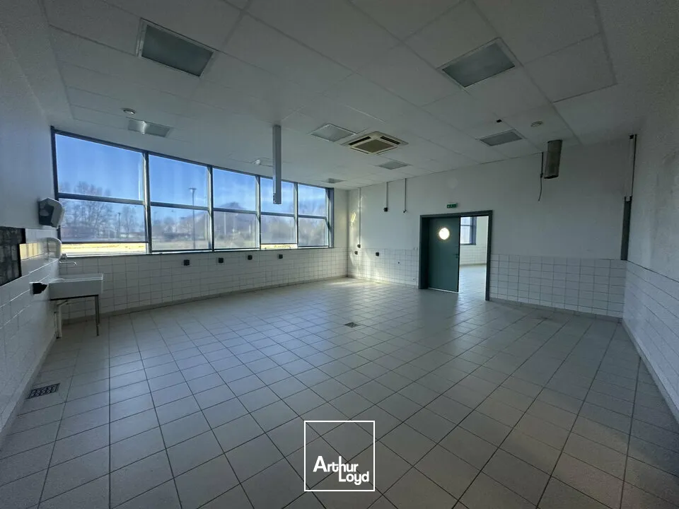 Bureaux - Location - STRASBOURG - 67000 - 500-500 - 7744335