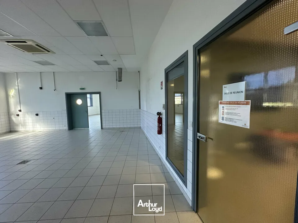 Bureaux - Location - STRASBOURG - 67000 - 500-500 - 7744340