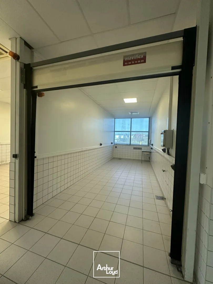 Bureaux - Location - STRASBOURG - 67000 - 500-500 - 7744341