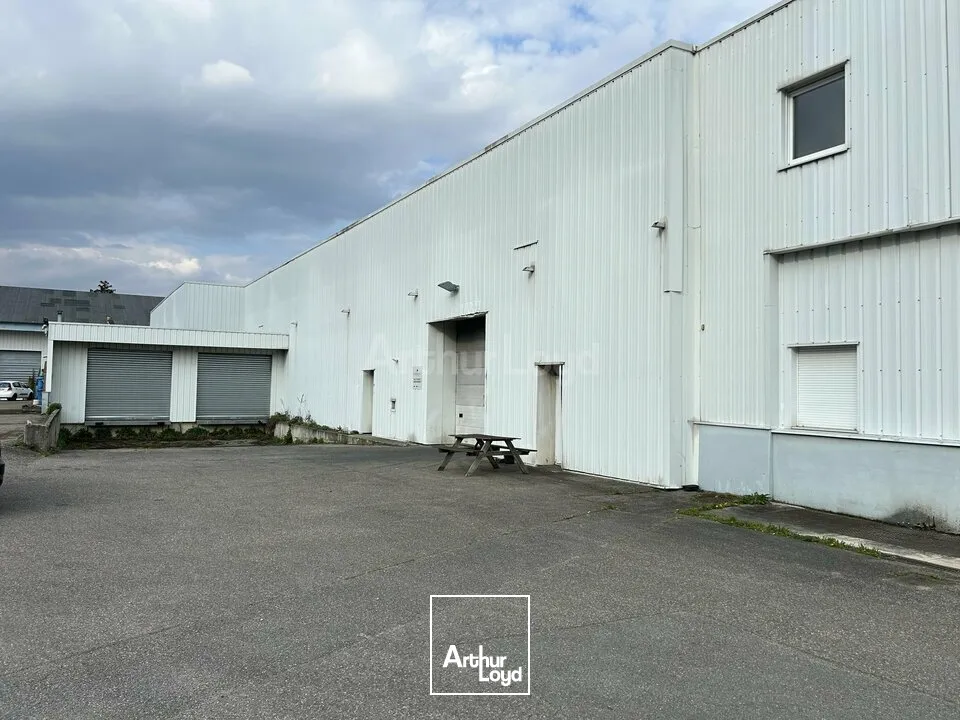 Locaux d'activité & Entrepôts - Vente - ISSENHEIM - 68500 - 2370-2370 - 7744343