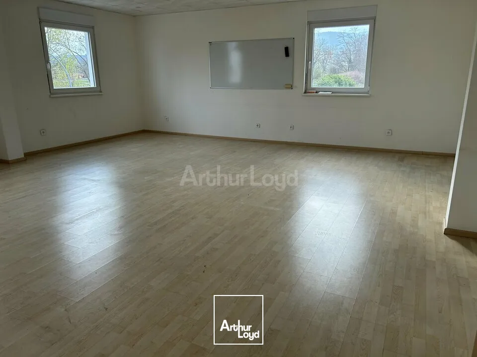 Locaux d'activité & Entrepôts - Vente - ISSENHEIM - 68500 - 2370-2370 - 7744351