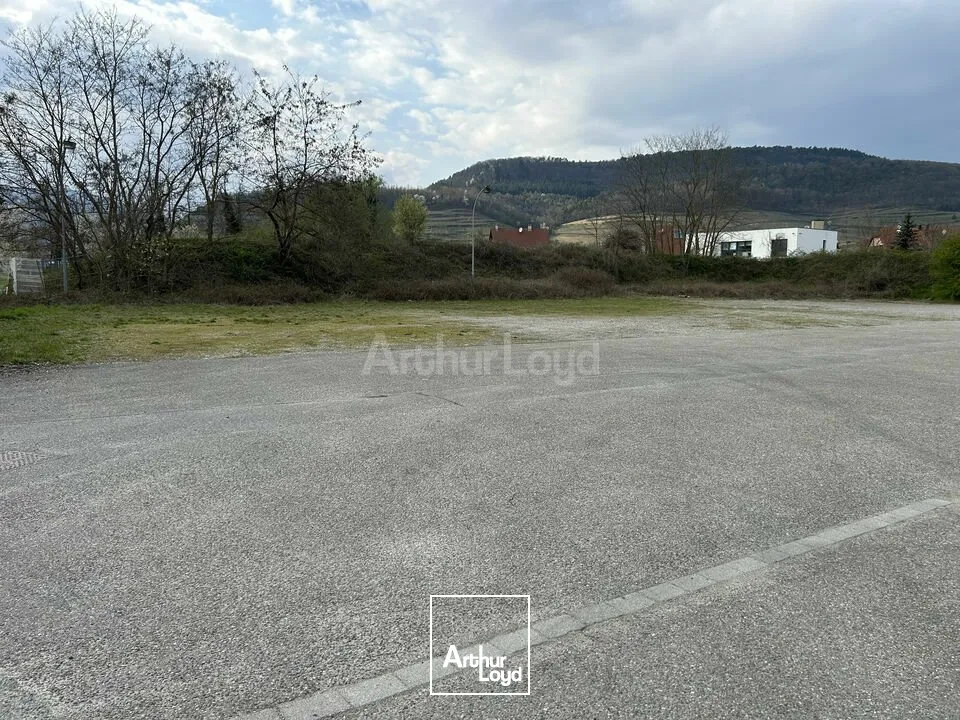 Locaux d'activité & Entrepôts - Vente - ISSENHEIM - 68500 - 2370-2370 - 7744352