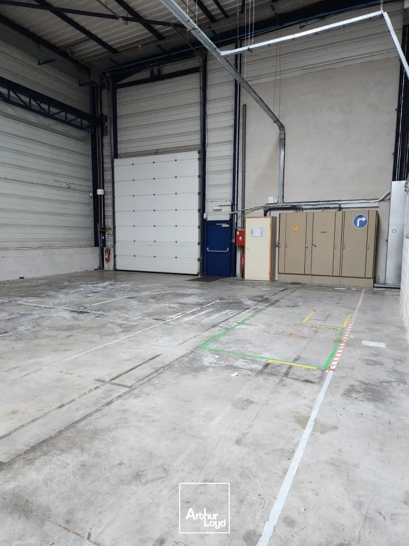 Locaux d'activité & Entrepôts - Location - Belfort - 90000 - 1905-1905 - 7744846