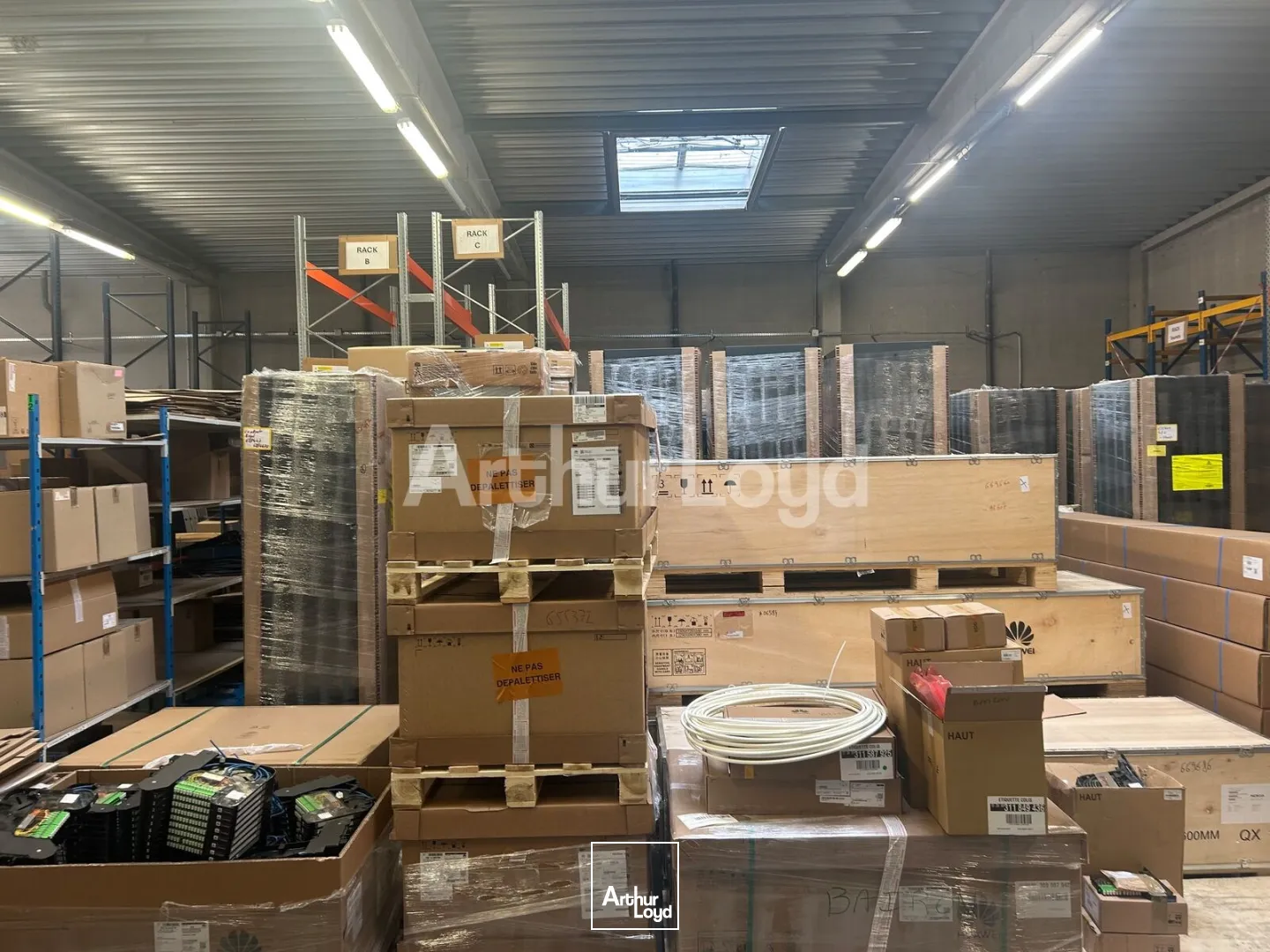 Locaux d'activité & Entrepôts - Location - SAINGHIN EN MELANTOIS - 59262 - 582-1693 - 7745350