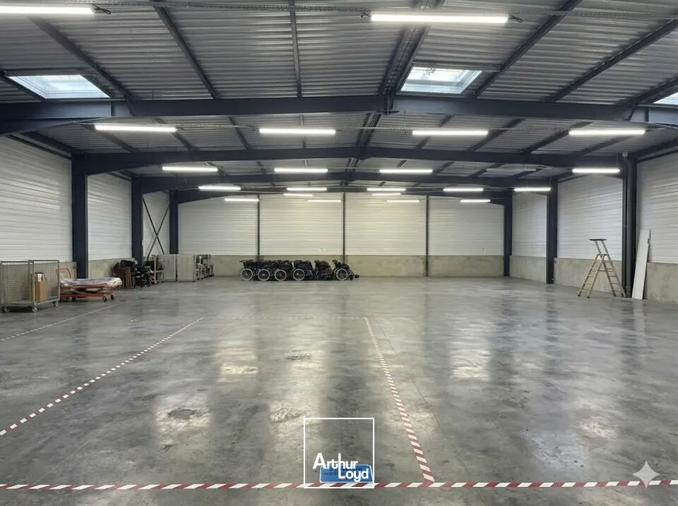 Locaux d'activité & Entrepôts - Vente - TREIZE-SEPTIERS - 85600 - 1000-1000 - 7746136