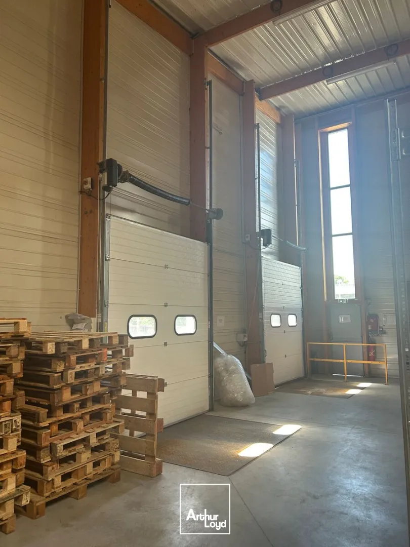 Locaux d'activité & Entrepôts - Location - LA CHAPELLE SUR ERDRE - 44240 - 978-978 - 7746431