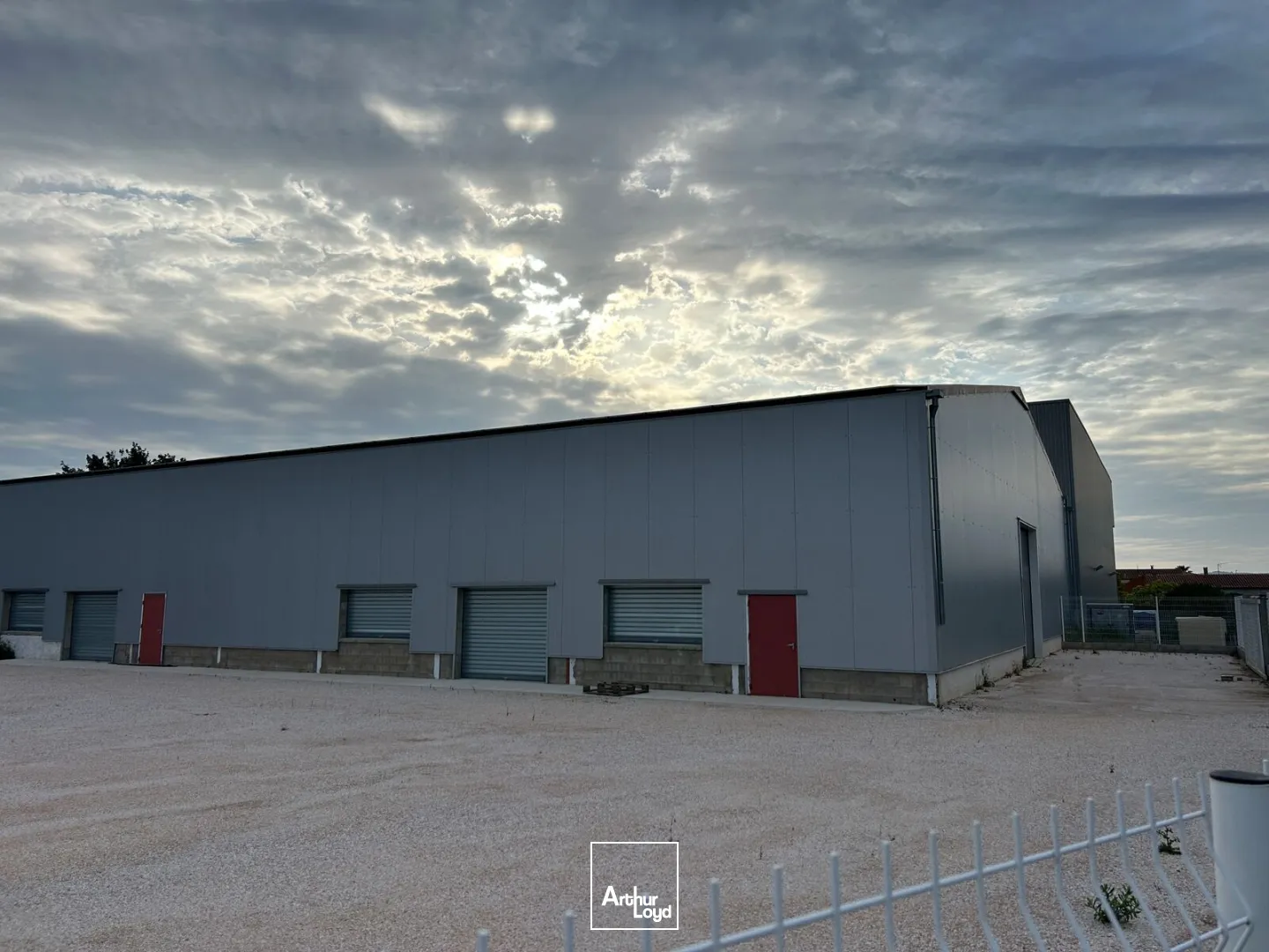 Locaux d'activité & Entrepôts - Location - ARGELES SUR MER - 66700 - 1050-1050 - 7746533