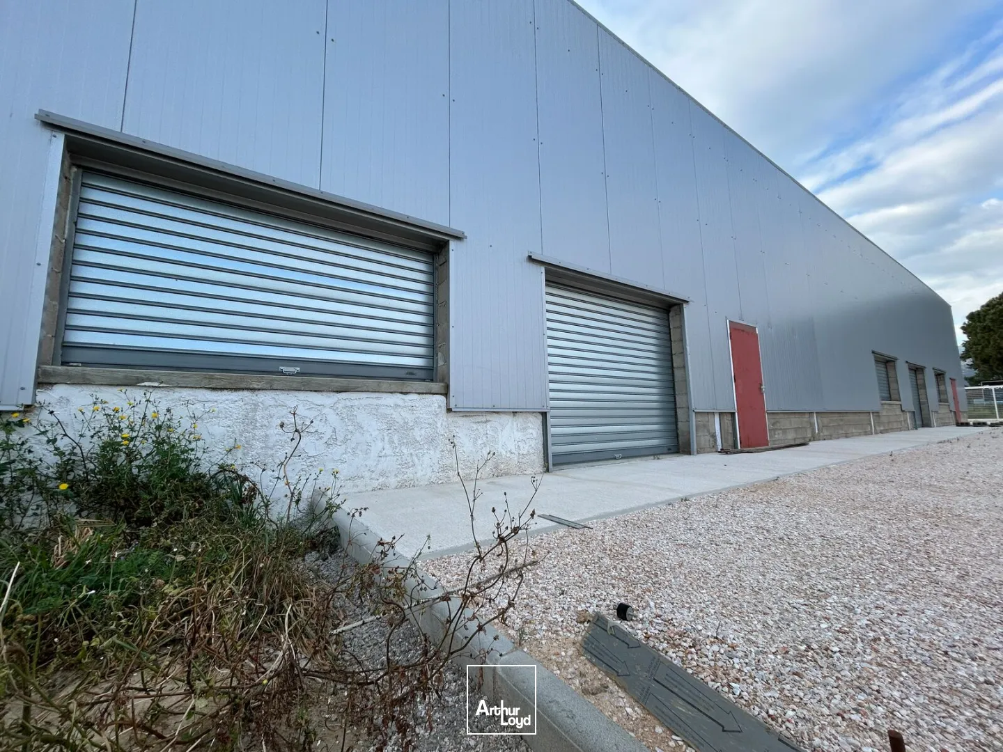 Locaux d'activité & Entrepôts - Location - ARGELES SUR MER - 66700 - 1050-1050 - 7746535