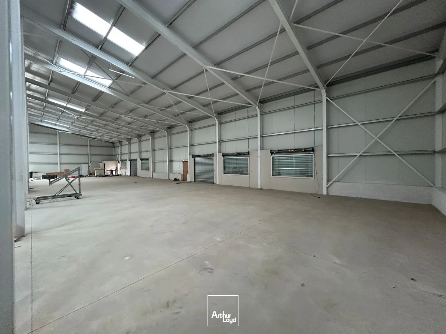 Locaux d'activité & Entrepôts - Location - ARGELES SUR MER - 66700 - 1050-1050 - 7746540