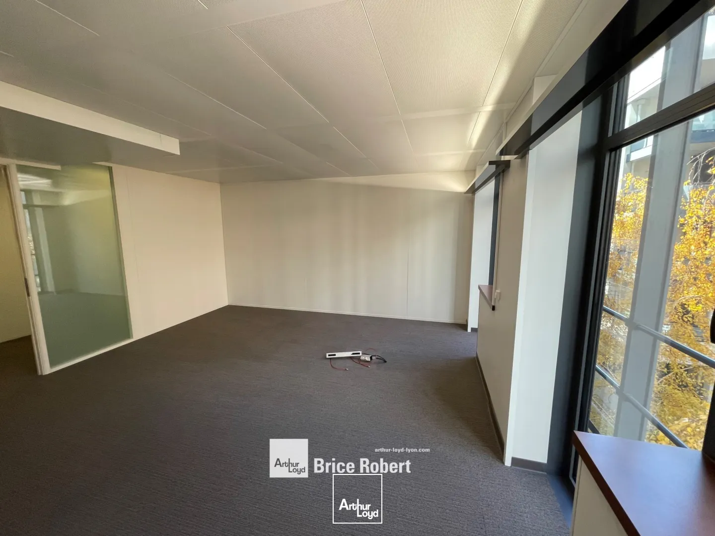 Bureaux - Location - LYON - 69003 - 223.6-223.6 - 7746835