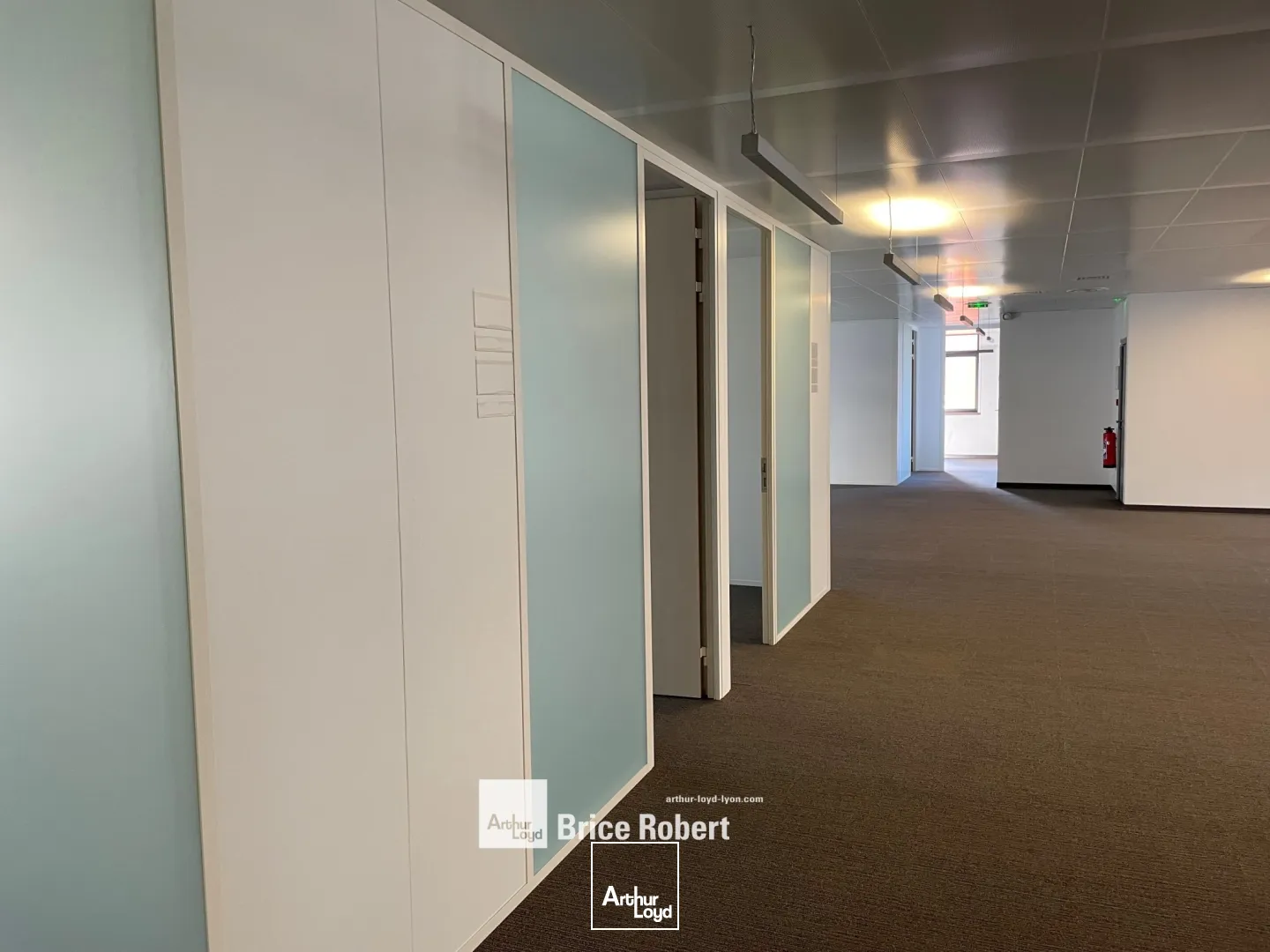 Bureaux - Location - LYON - 69003 - 223.6-223.6 - 7746837