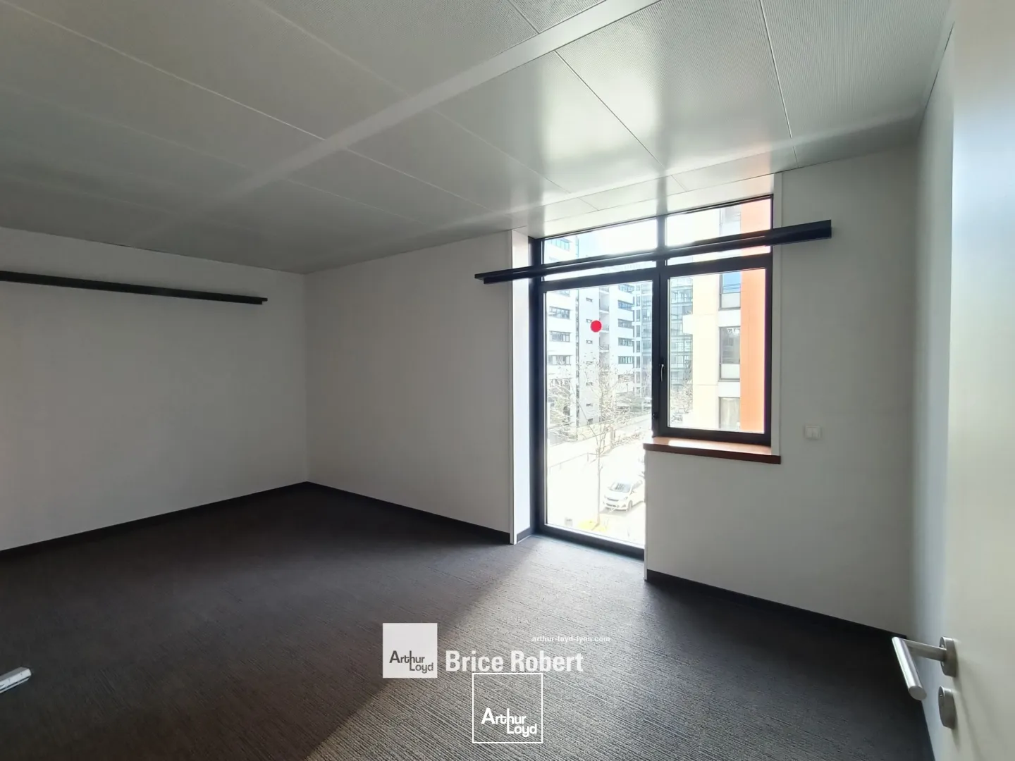 Bureaux - Location - LYON - 69003 - 223.6-223.6 - 7746839