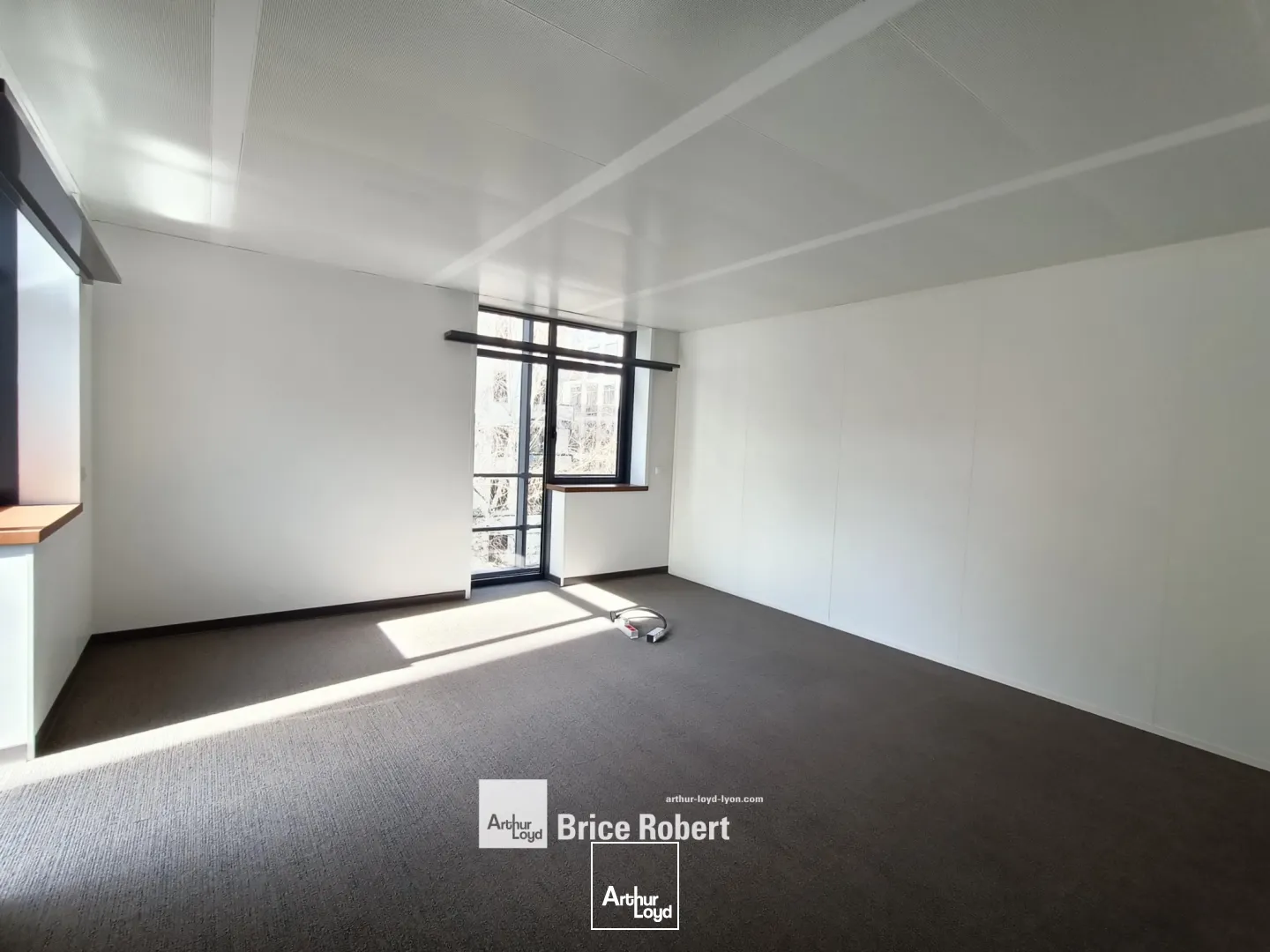 Bureaux - Location - LYON - 69003 - 223.6-223.6 - 7746841