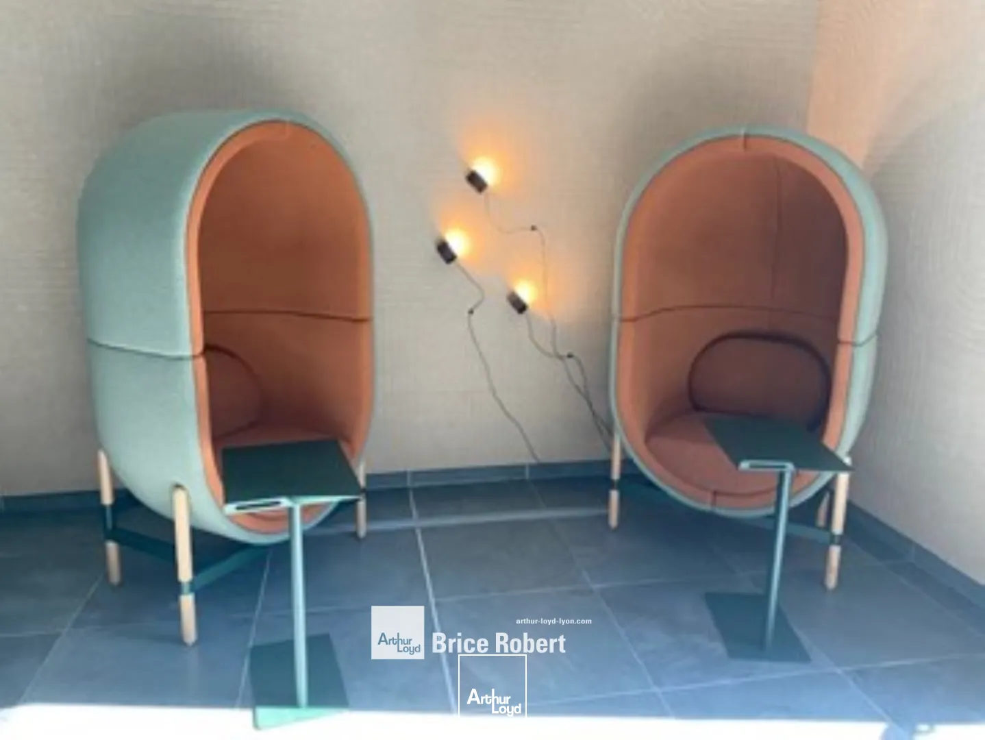 Bureaux - Location - LYON - 69003 - 223.6-223.6 - 7746833