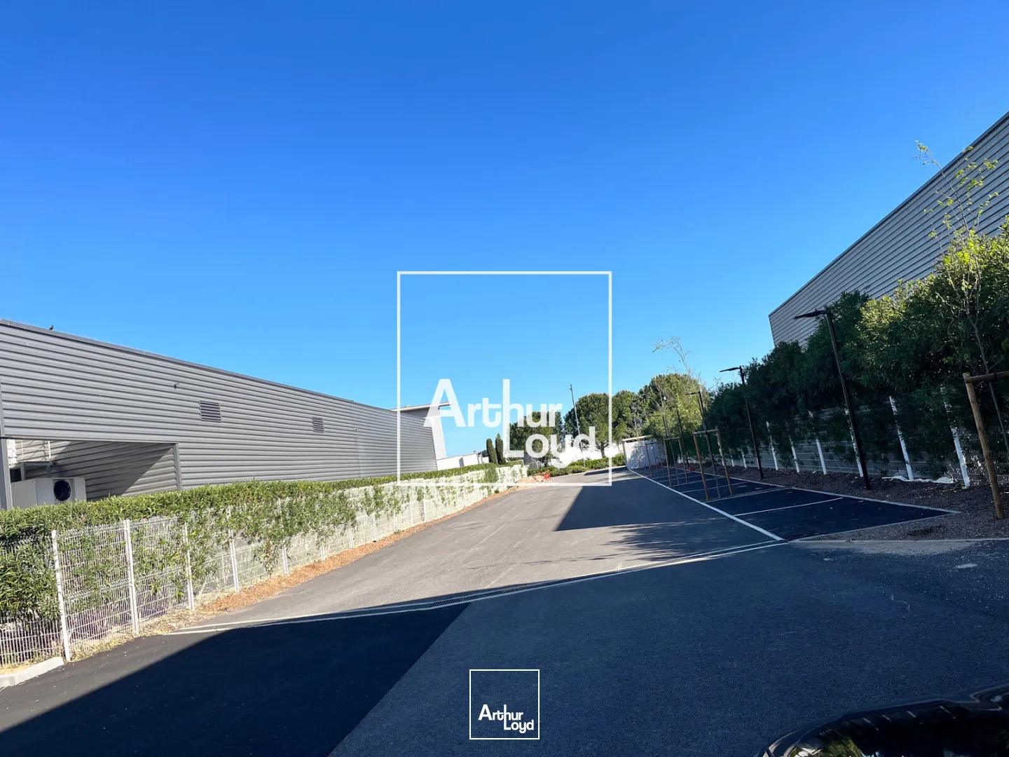 Locaux d'activité & Entrepôts - Location - GALLARGUES LE MONTUEUX - 30660 - 719.5-719.5 - 7747172