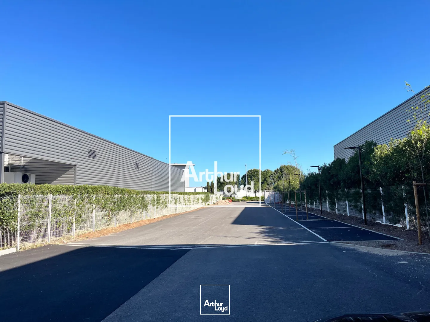Locaux d'activité & Entrepôts - Location - GALLARGUES LE MONTUEUX - 30660 - 719.5-719.5 - 7747173