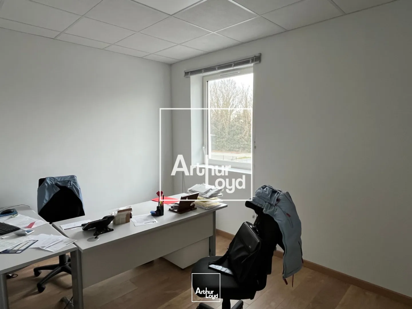 Locaux d'activité & Entrepôts - Vente - TOULOUSE - 31400 - 530-530 - 7747612