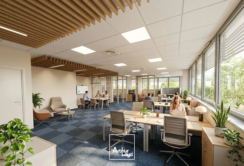 Bureaux - Location - SCHILTIGHEIM - 67300 - 180-362 - 7747896