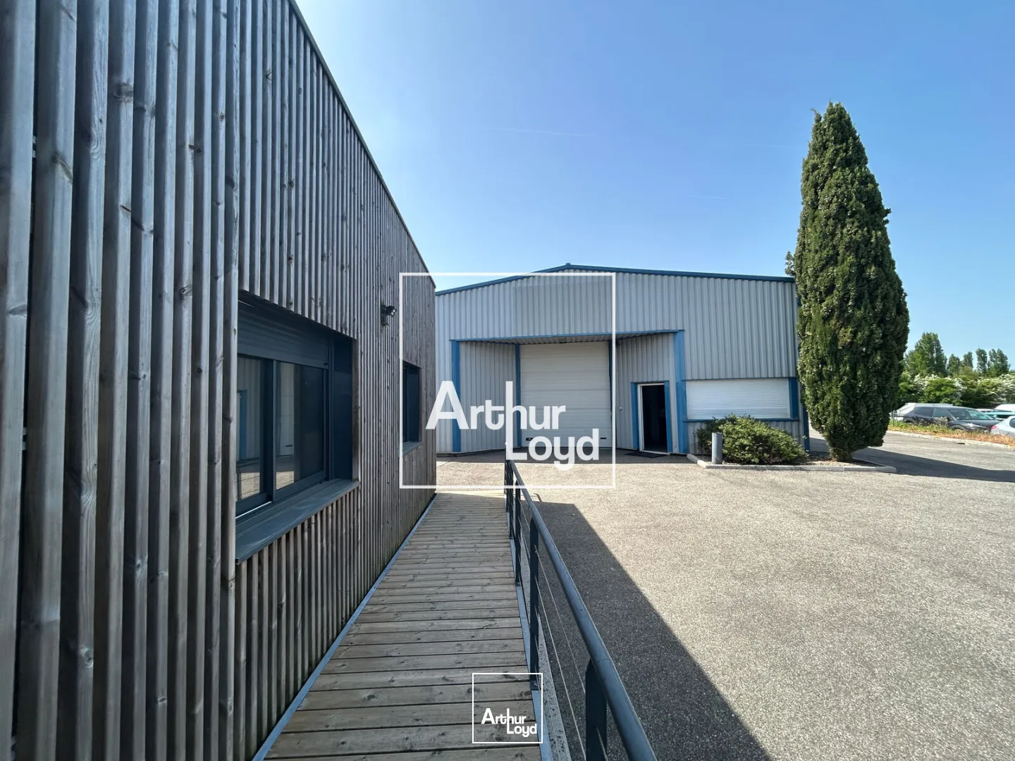 Locaux d'activité & Entrepôts - Vente - MONDOUZIL - 31850 - 665-665 - 7748731