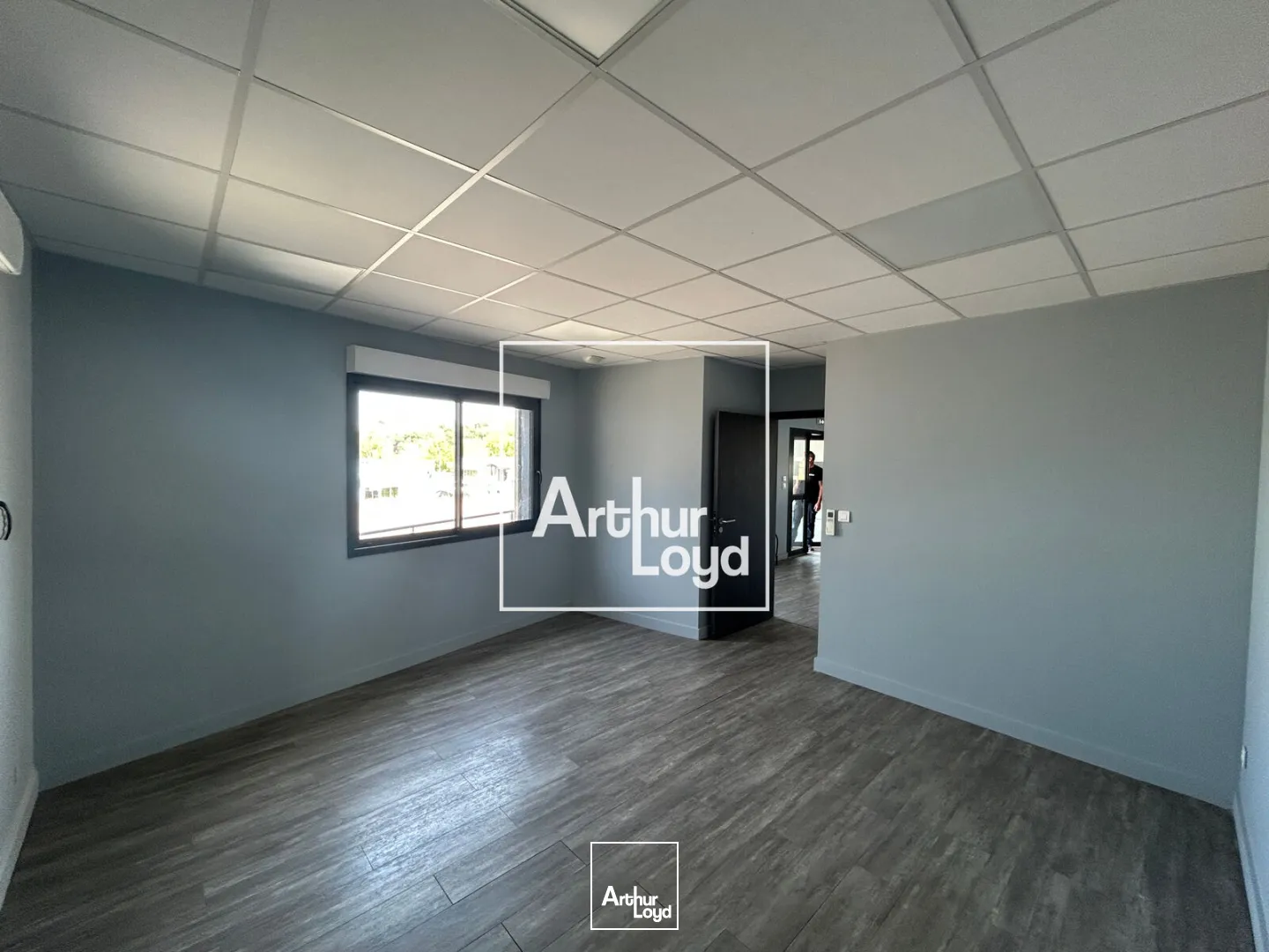 Locaux d'activité & Entrepôts - Vente - MONDOUZIL - 31850 - 665-665 - 7748740