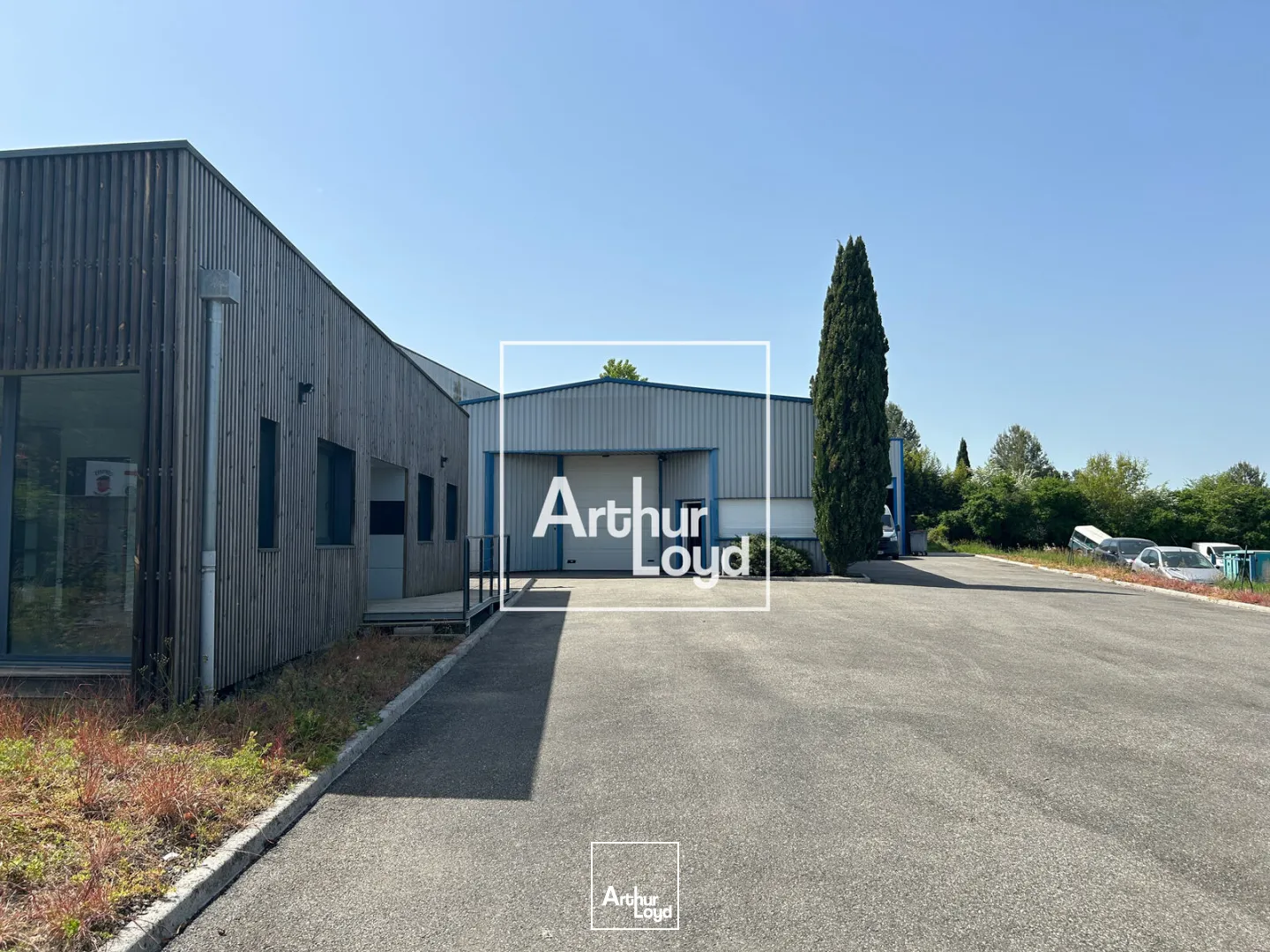 Locaux d'activité & Entrepôts - Vente - MONDOUZIL - 31850 - 665-665 - 7748730