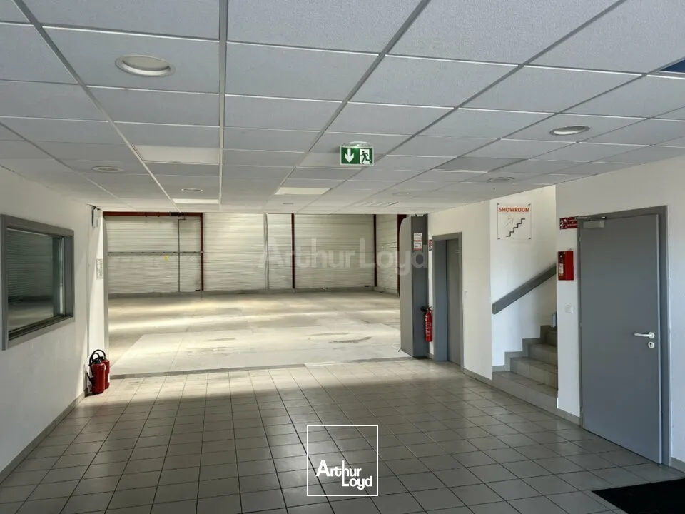 Locaux d'activité & Entrepôts - Location - COLMAR - 68000 - 795.55-795.55 - 7749008