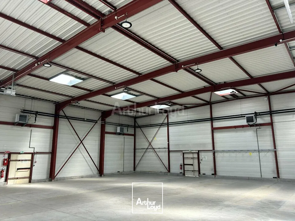 Locaux d'activité & Entrepôts - Location - COLMAR - 68000 - 795.55-795.55 - 7749009