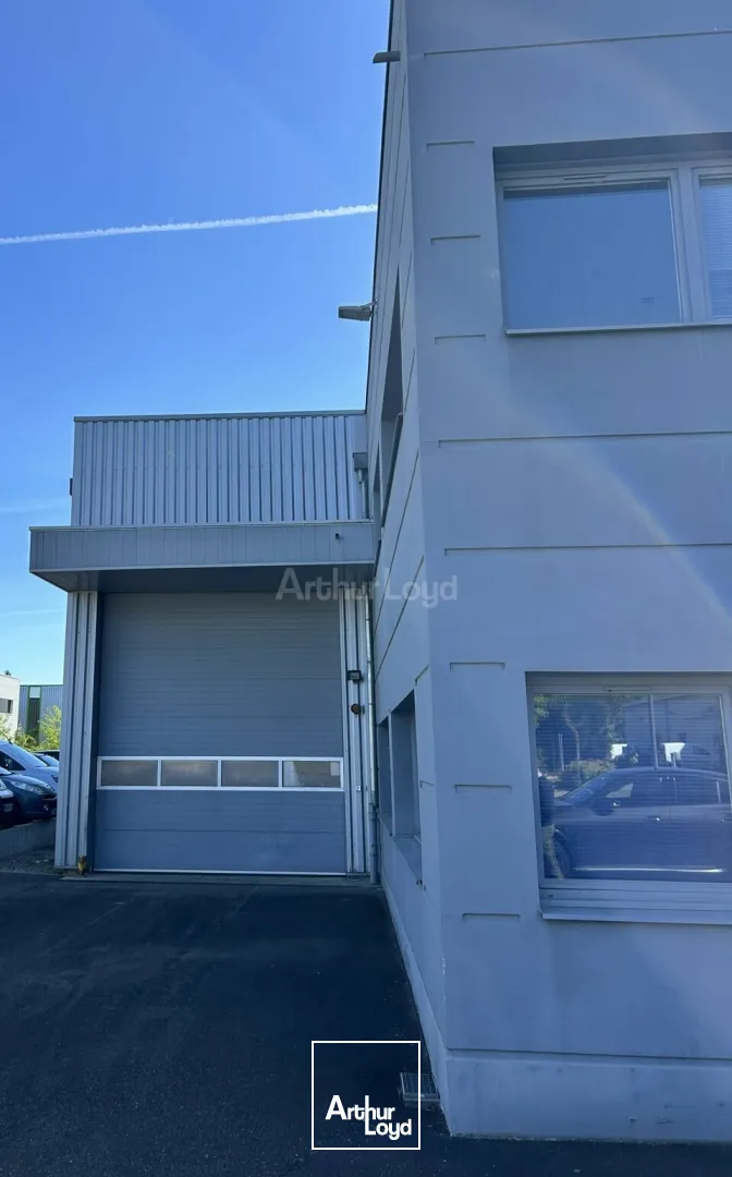 Locaux d'activité & Entrepôts - Location - COLMAR - 68000 - 795.55-795.55 - 7749014