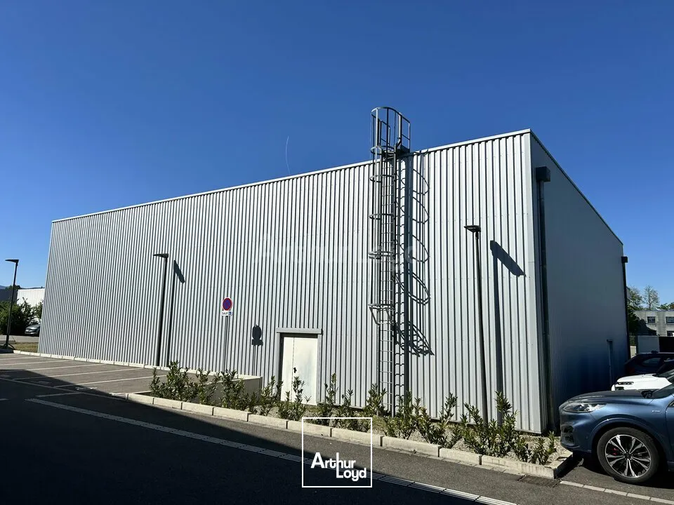 Locaux d'activité & Entrepôts - Location - COLMAR - 68000 - 795.55-795.55 - 7749015